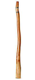 Kristian Benton Didgeridoo (KB455)
